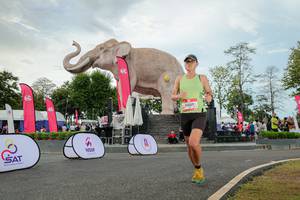 BIB: 
                            <button type="button" onclick="openModal(26528727)" class="btn btn-primary btn-sm float-right btn-popup" data-toggle="modal" data-target=".modal-high-quality">
                        <i class="fas fa-shopping-cart"></i> Add to Cart
                    </button>
                                            <button type="button" onclick="isThisMe(26528727, true)" class="btn btn-success btn-sm float-right btn-popup btn-isme hidden" data-toggle="tooltip" data-placement="bottom" title="นี่คือรูปของคุณใช่ไหม คลิกที่นี่เพื่อเอาเข้าอัลบั้ม">
                        <i class="fas fa-plus"></i> Add to album
                    </button>
                    <button type="button" onclick="isThisMe(26528727, false)" class="btn btn-warning btn-sm float-right btn-popup btn-isnotme hidden">
                        <i class="fas fa-ban"></i> Remove from album
                    </button>